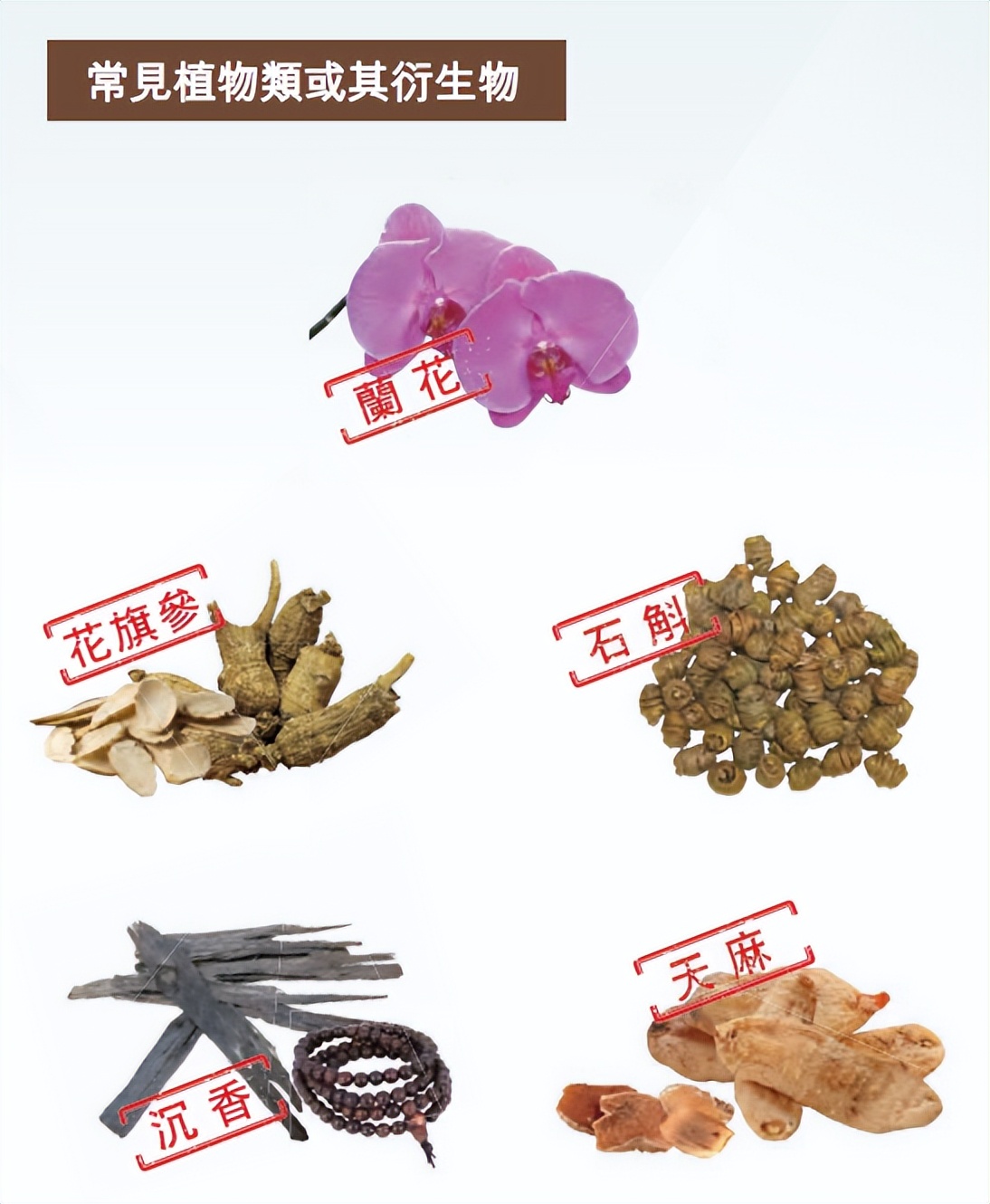 带青菜回香港,带菜到香港