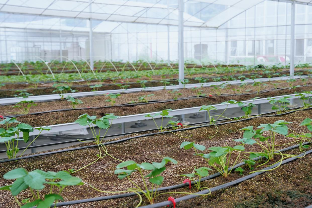 建德古村落美食有哪些特色,杭州的建德菜有什么特色