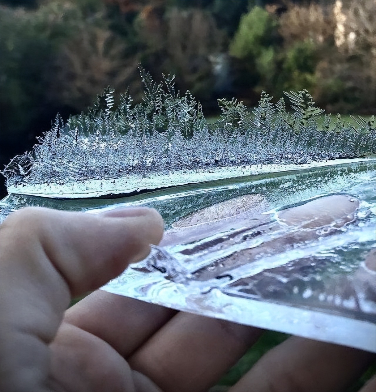 美丽的大自然的作文,美丽的大自然现代诗