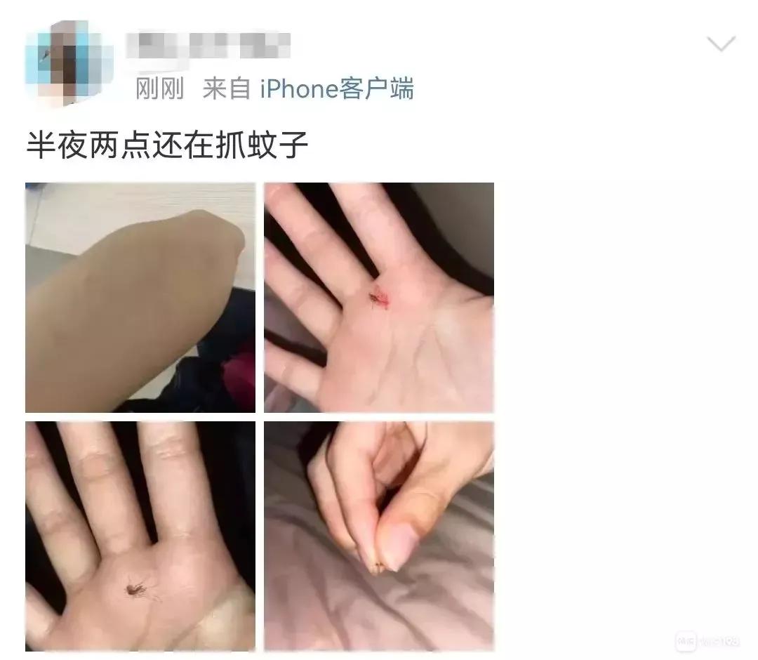 夏天蚊子太烦人教驱蚊的绝招,夏季来临前通过什么方法消灭蚊子