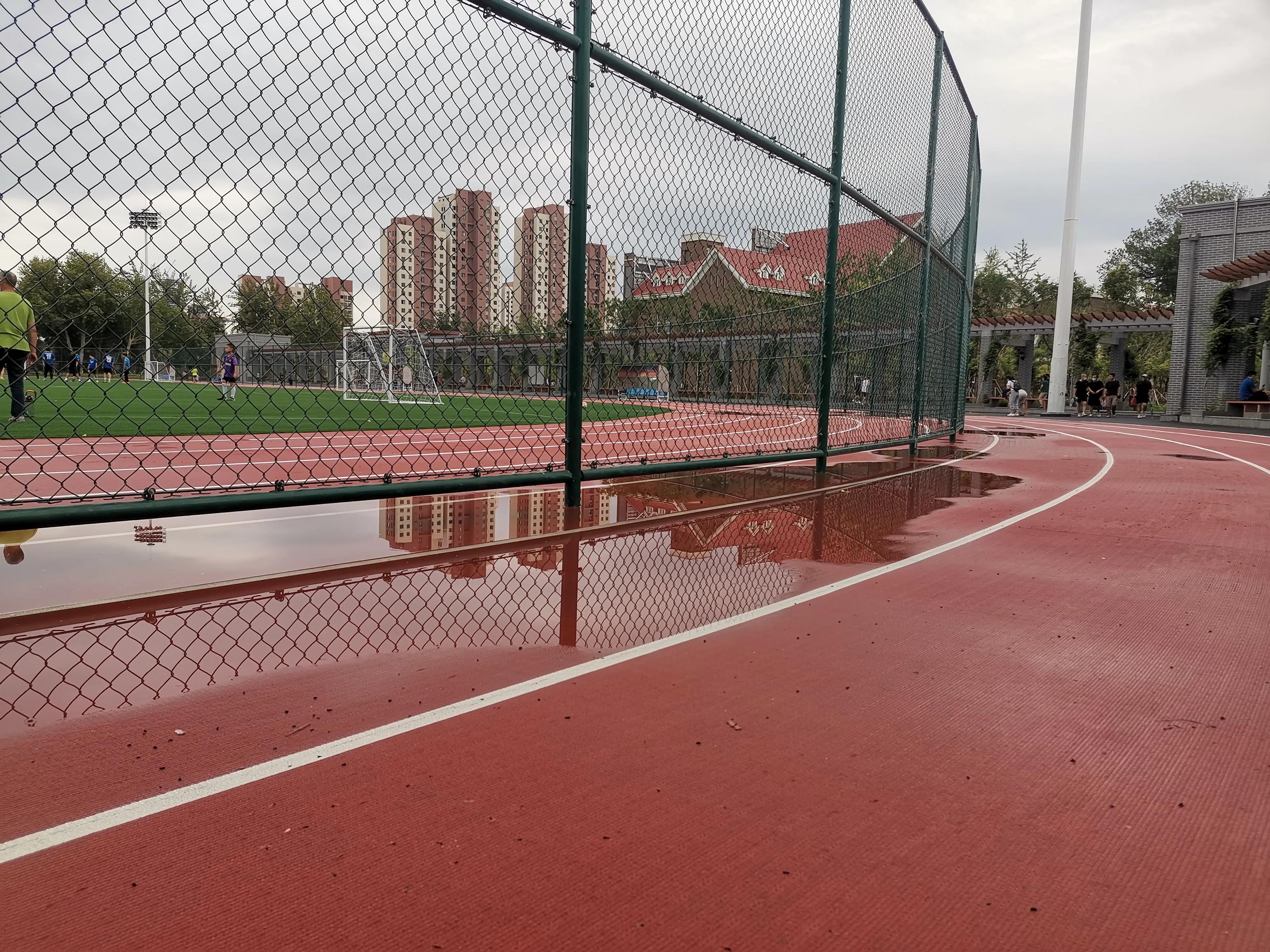 大雨过后的天津,大雨后的公园视频