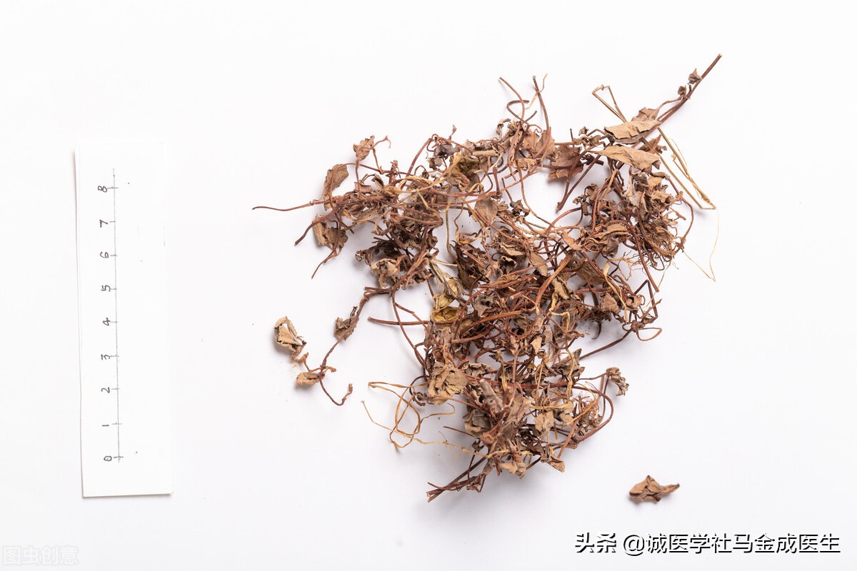 有助于消结石的中药,结石吃什么草药比较容易排出来