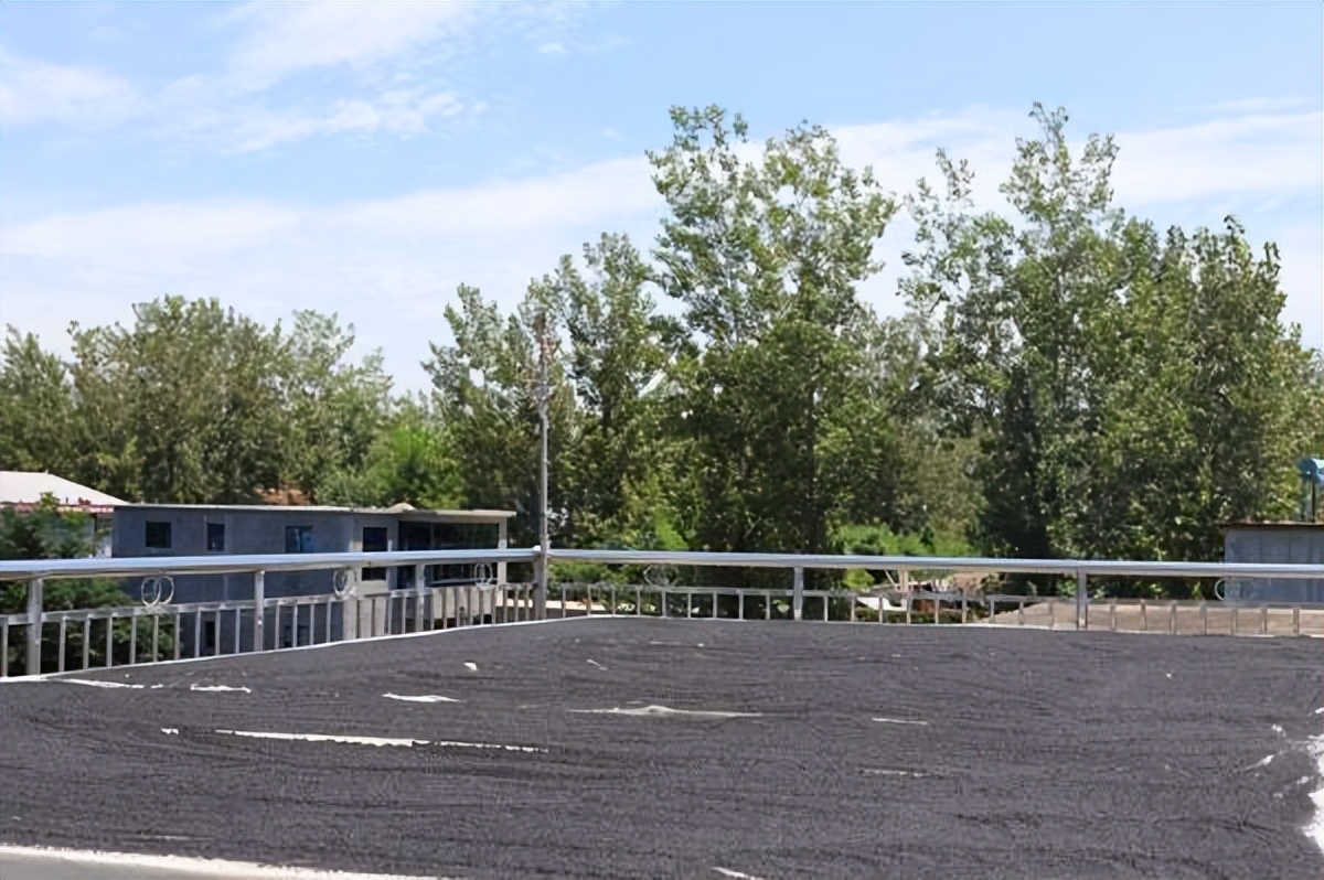 真正的纯黑芝麻丸,黑芝麻丸智商税知乎