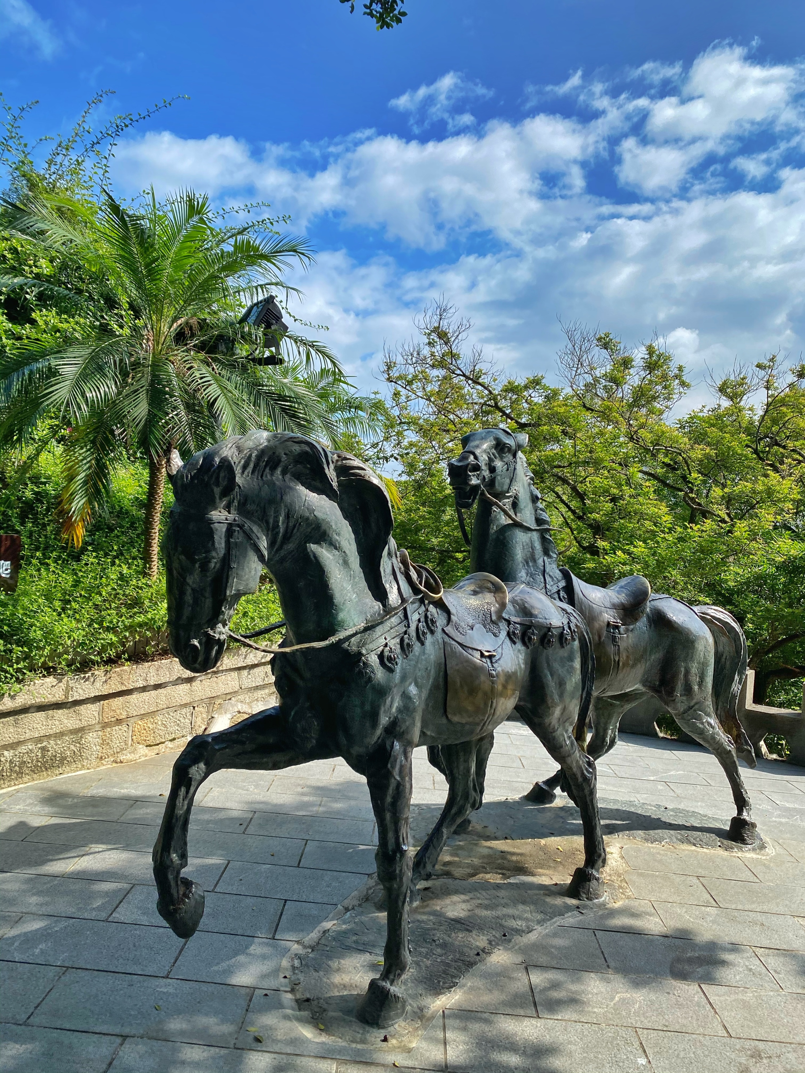 鼓浪屿民宿好不好做,住鼓浪屿民宿什么体验