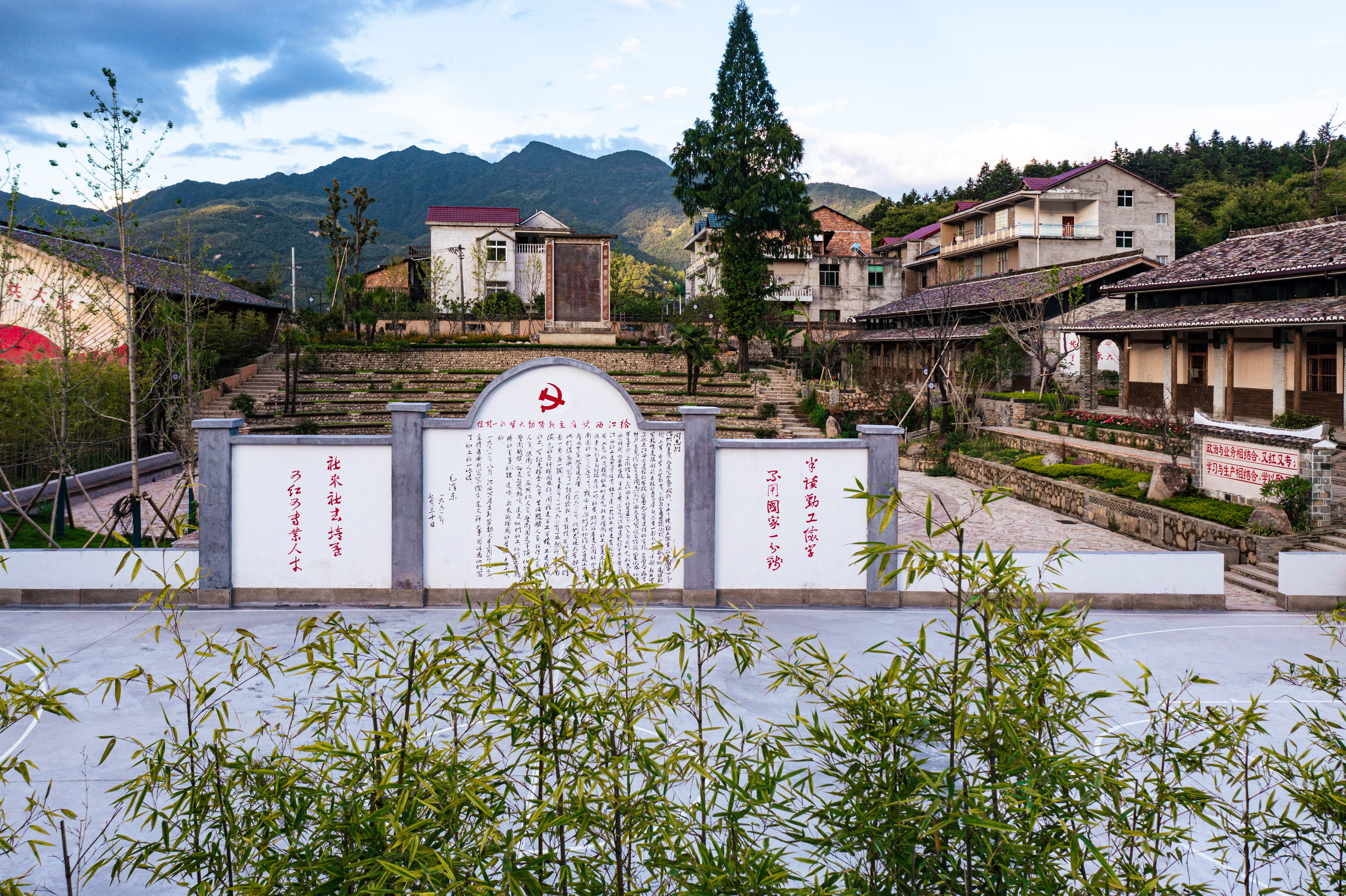 行游五府山：解密3宝，山野美味游走舌尖，传递平实的幸福