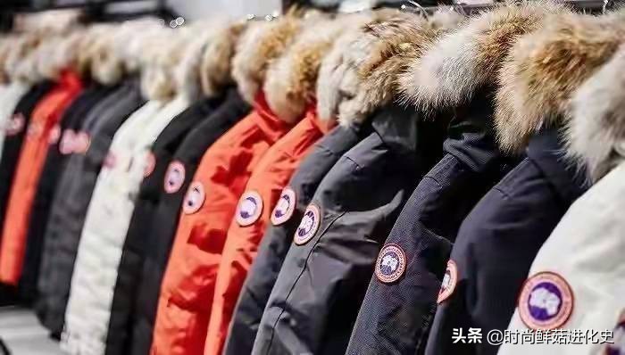 买羽绒服需懂什么,买羽绒服的常识