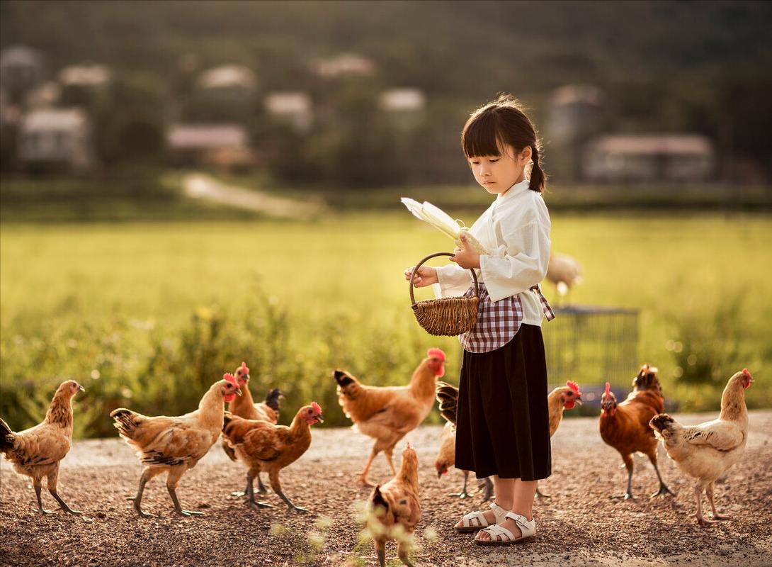 陶渊明诗中的桃花源在哪,陶渊明桃花源记中的桃源