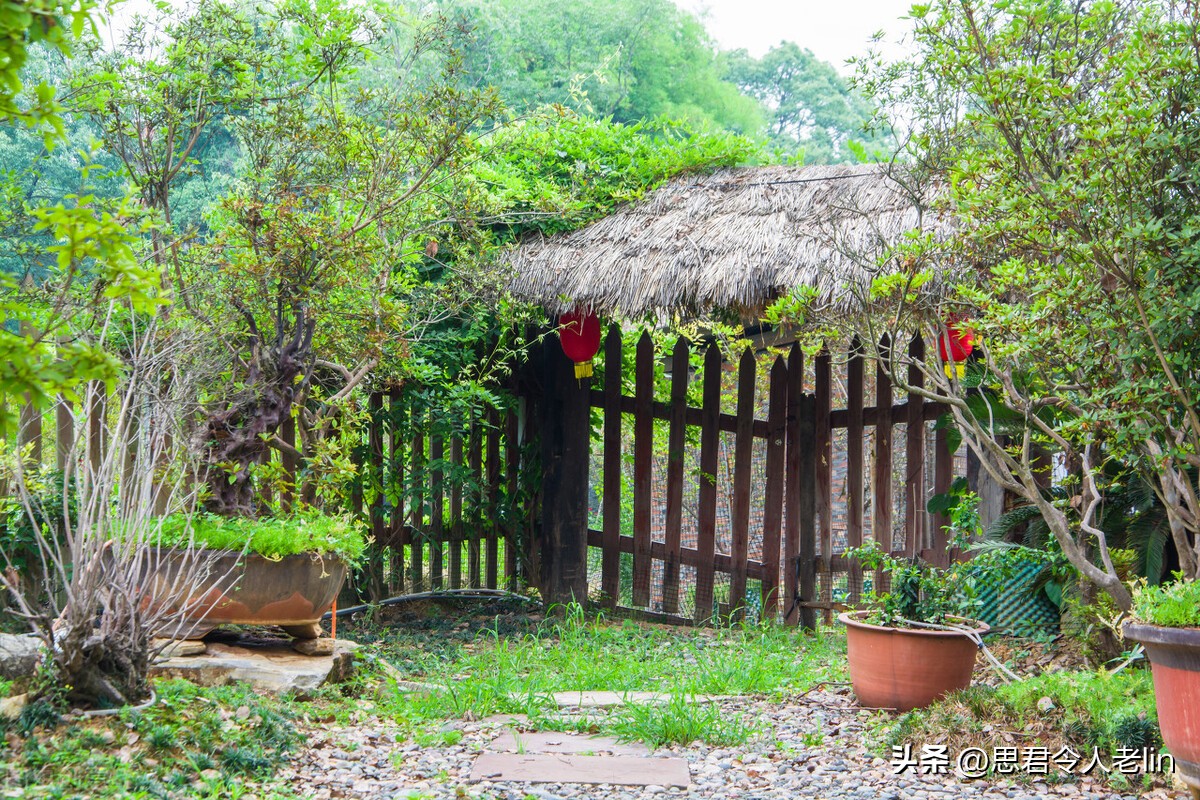 最著名的田园生活诗词,适合田园生活的诗词