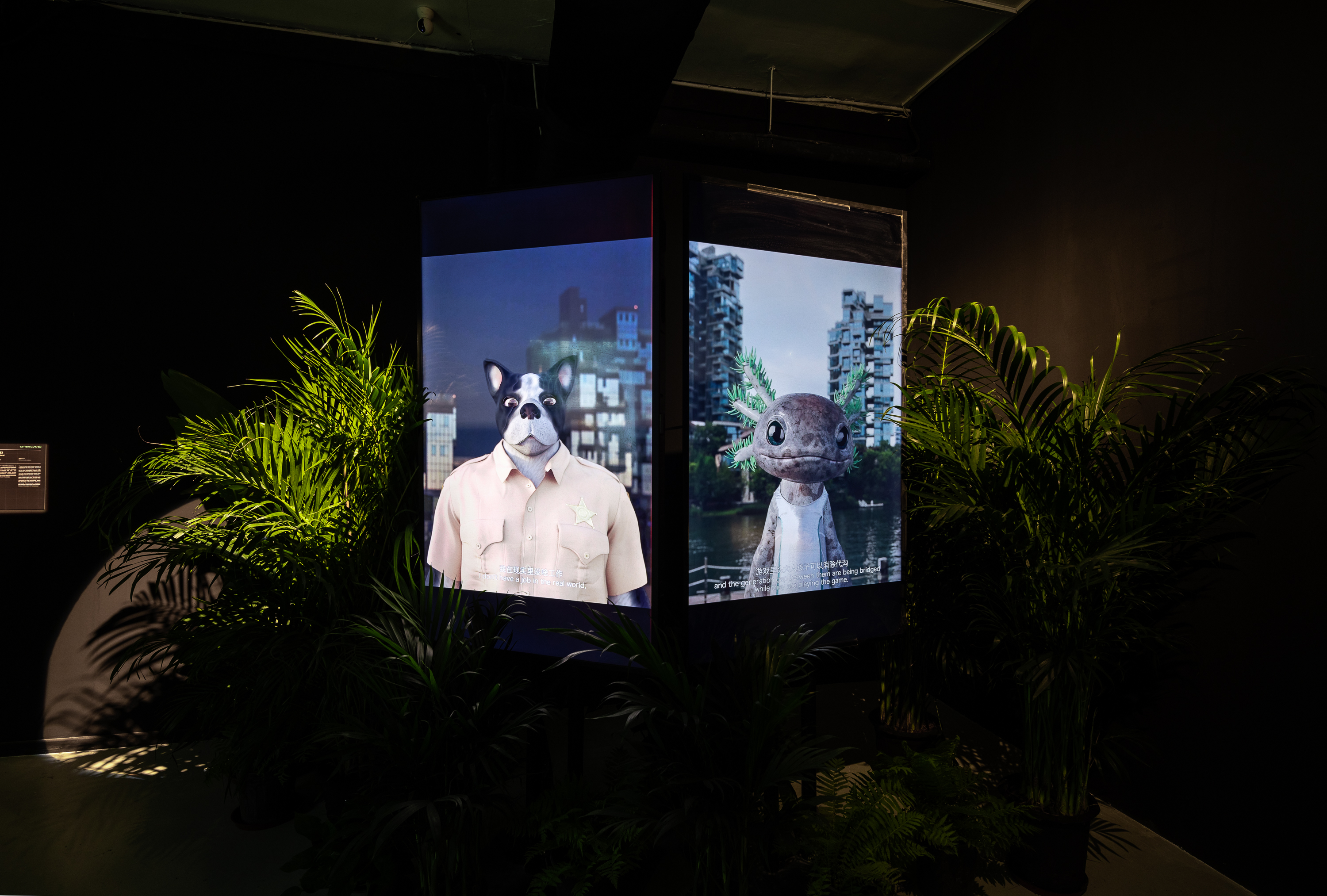 “共同的演化”——开启置身于AI时代的生命想象