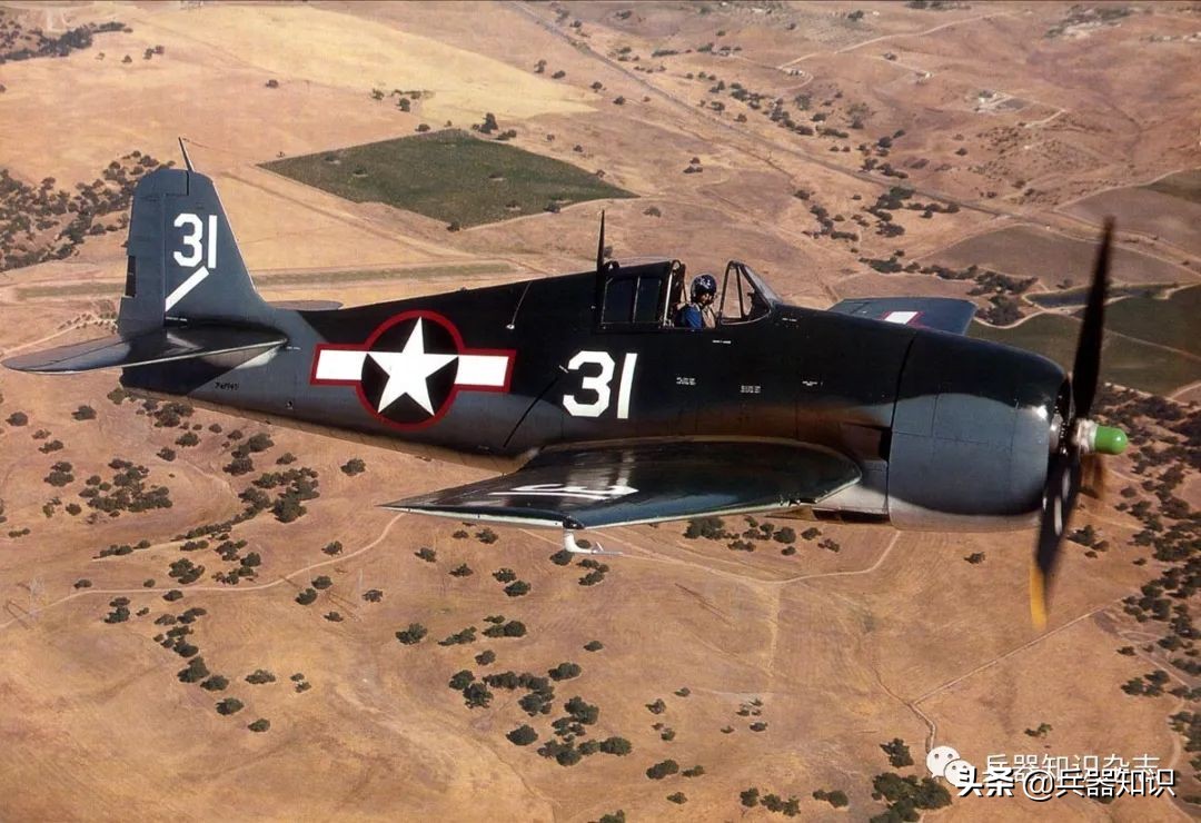 飞天的猫,飞天的猫和鱼