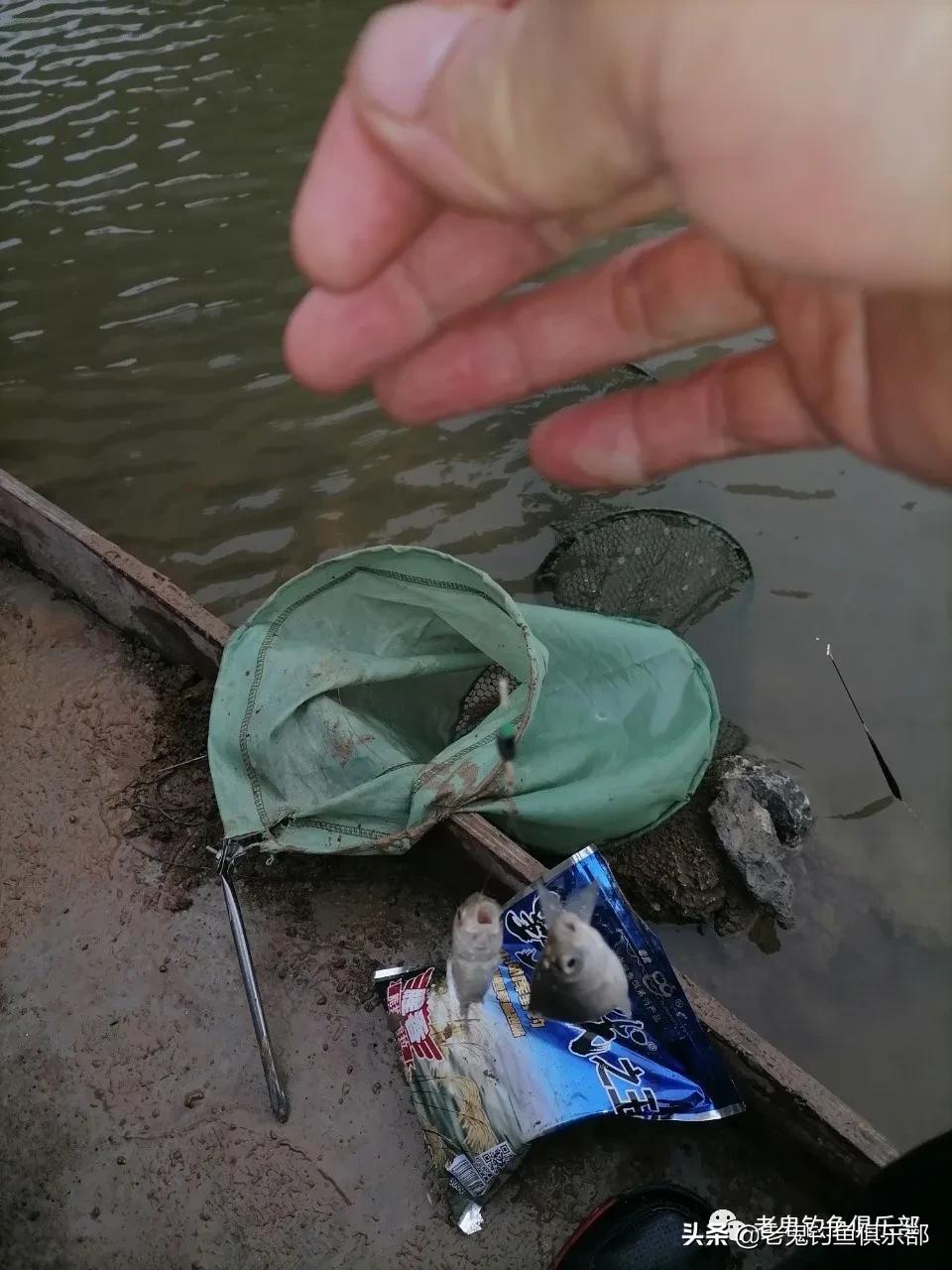 冬钓小野河，*战野**之王·腥香一包搞定