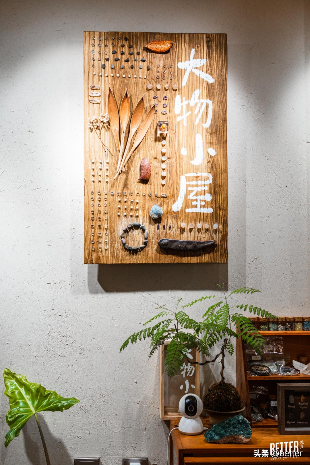 我在这家化石手作店，体验了一把「赌石」的快乐