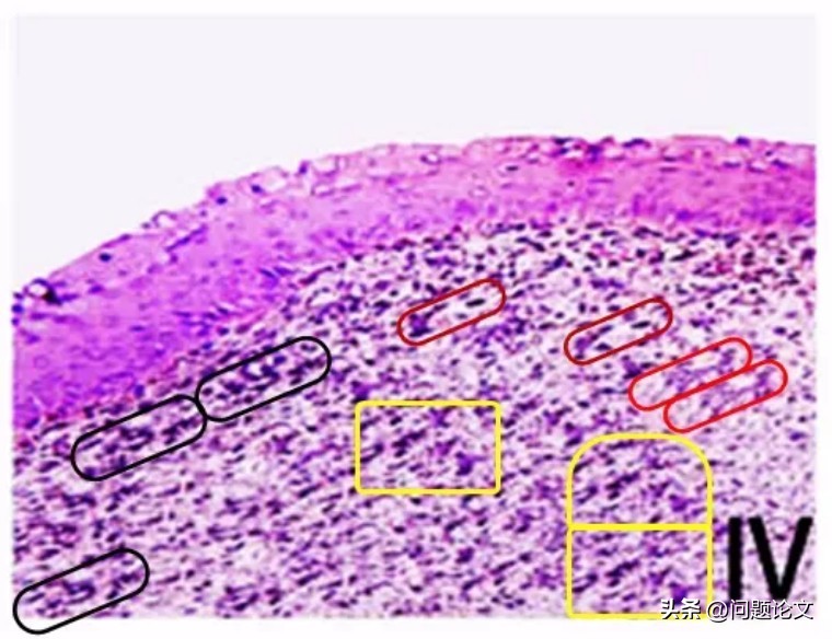 医生学术论文作假严重吗,国外承认中医论文造假事件