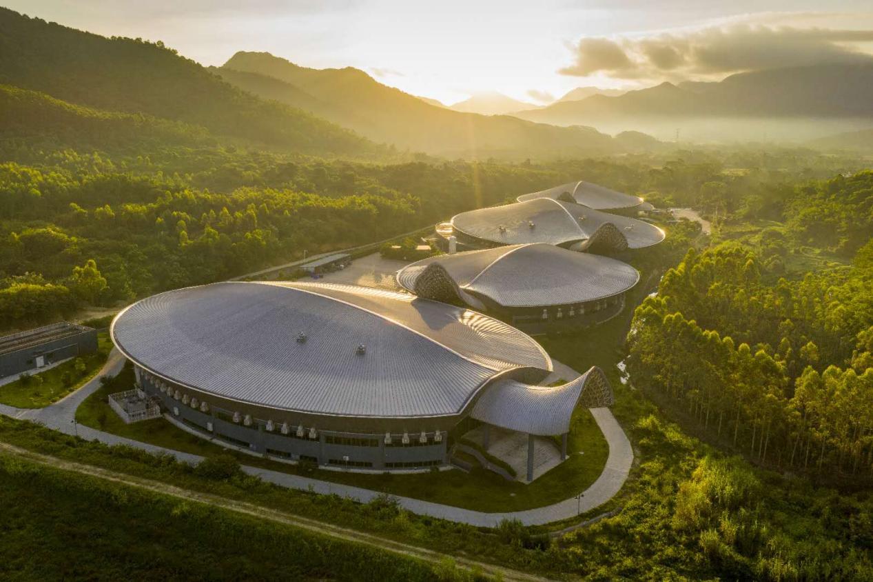 朱丹蓬中国食品行业分析师,朱丹蓬古越龙山