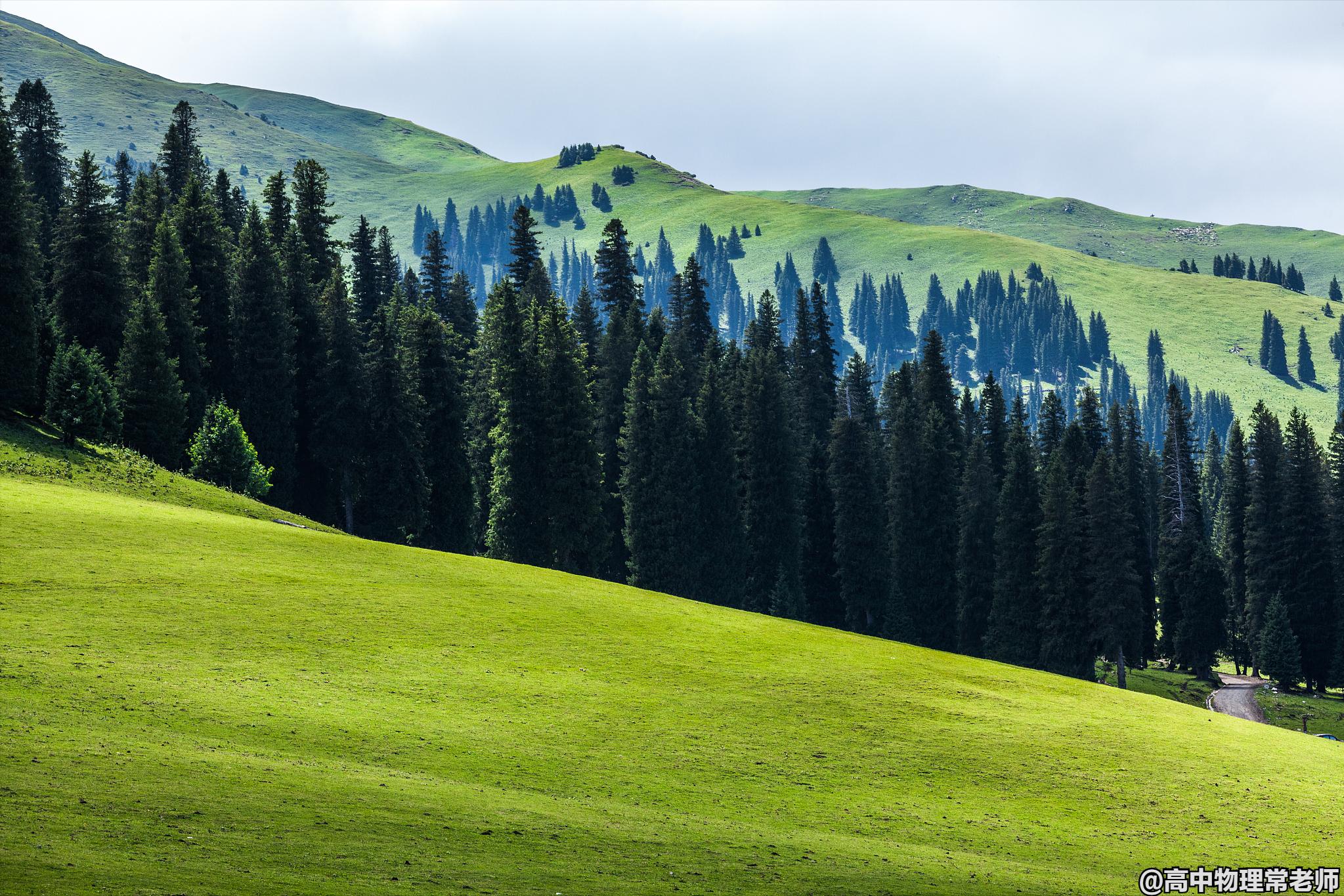 鐙簱鍏矾鐜枂鍗楀寳,鐙簱鍏矾淇￠┈娓哥枂