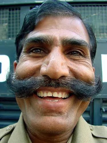 世界各国和印度,各国评价印度小吃