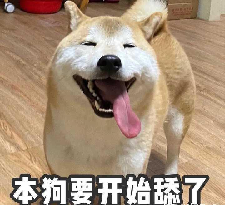 狗狗不停舔嘴巴舔鼻子,狗天天舔爪子舔的很脏