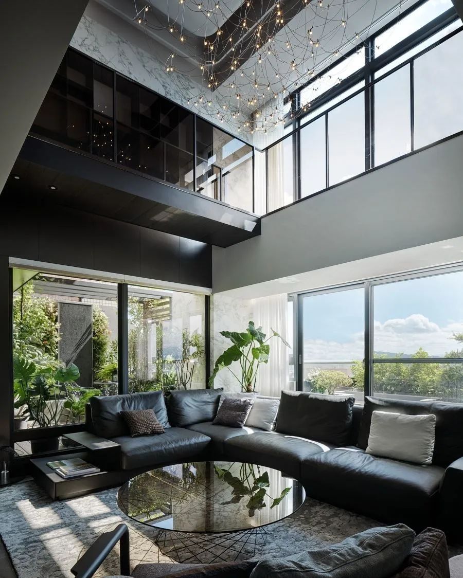 夏季家装ins风绿植推介排行,十大客厅耐阴绿植冬天不死的植物