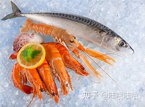 海鲜冰冻保鲜的正确方法,海鲜保鲜温度多少