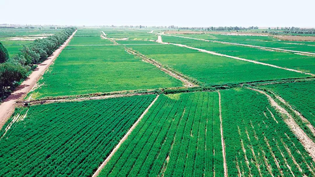 武威一座旅游名城,武威一座历史悠久的人文之都