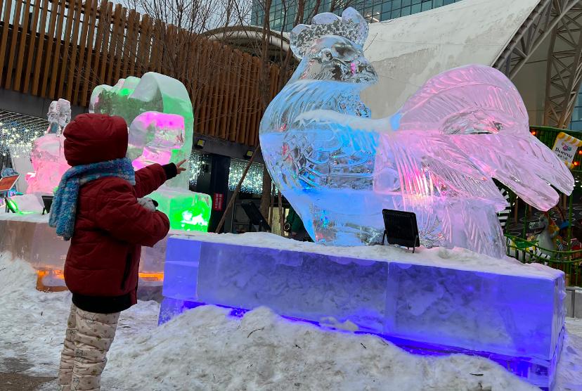 冬天带你去滑雪看冰雕,滑雪场和冰雕推荐