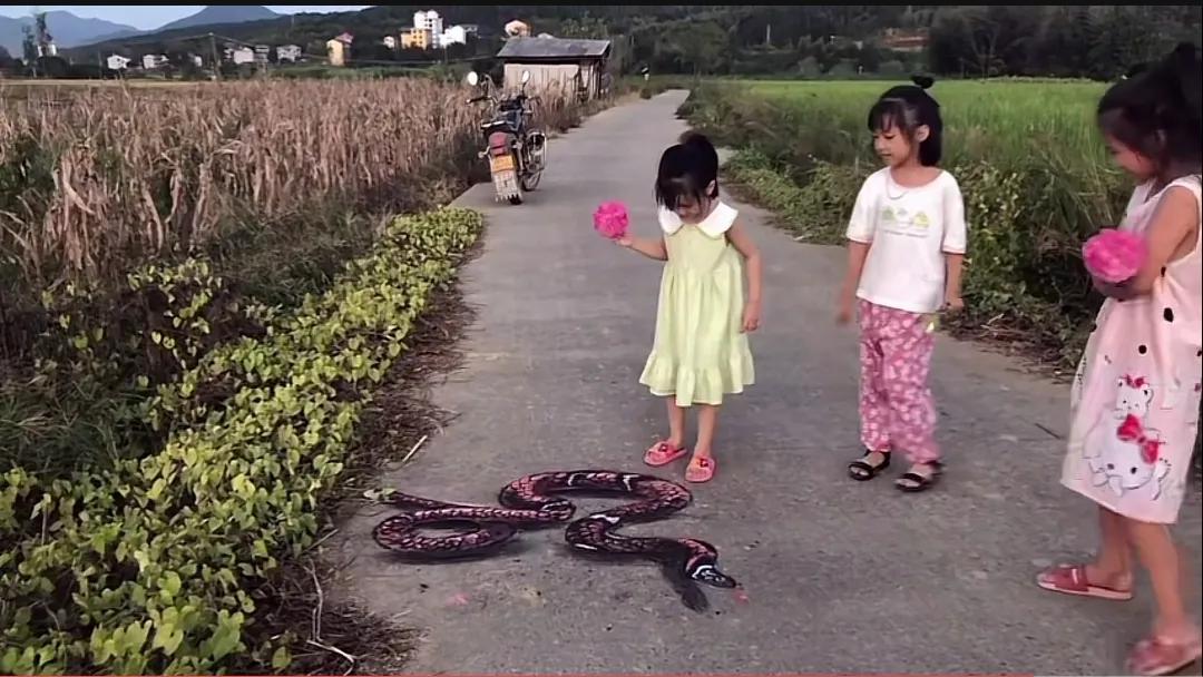 3D画让我对这个世界的真实性产生了怀疑，眼见为实未必是真的