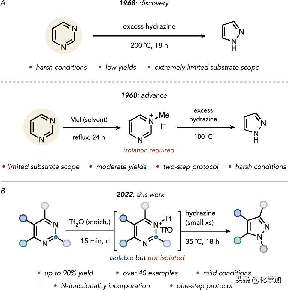JACS：分子骨架编辑——剔除碳原子，嘧啶变吡唑