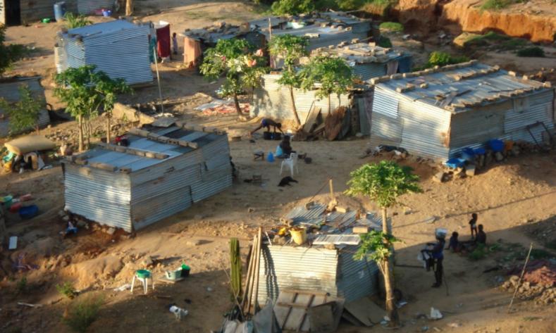 中国安哥拉蔬菜 (安哥拉的中国人种菜)