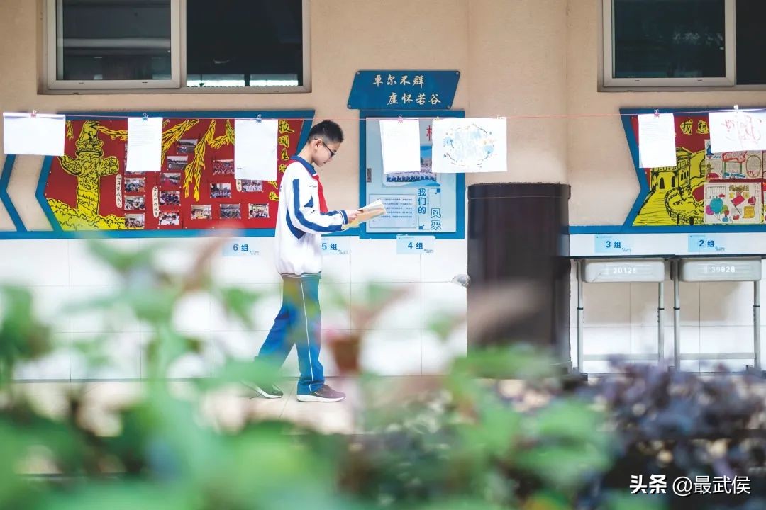 成都新增66所新优质学校武侯区,武侯新城有哪些学校