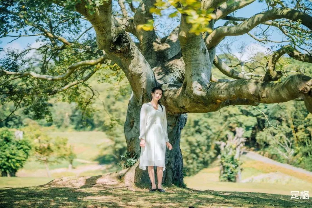 深圳十条景美徒步路线推荐,深圳水库徒步路线图