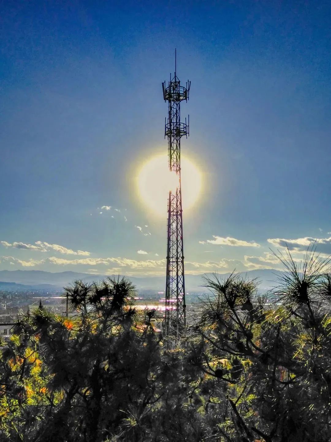 悬念揭晓在即,悬念揭晓视频