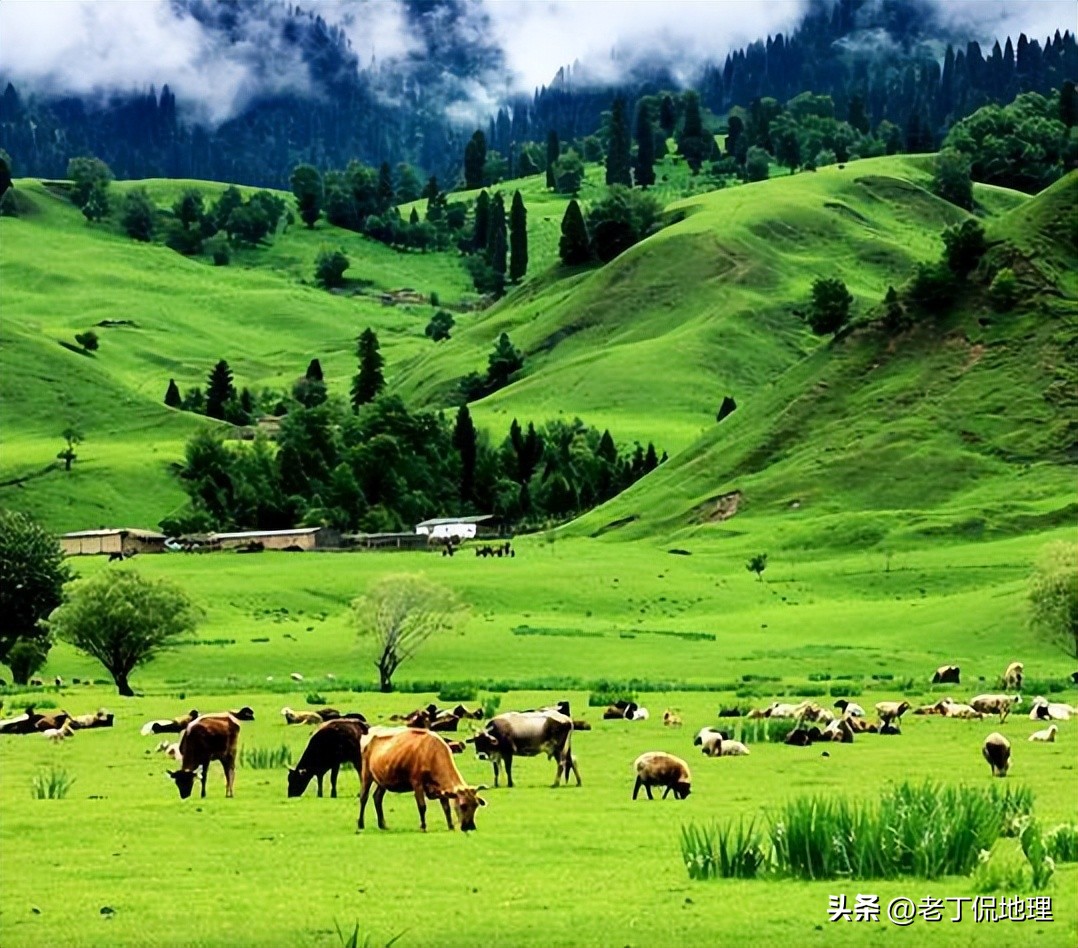 世界杯巡礼塞维利亚,阿根廷雄鹰潘帕斯世界杯