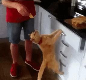 女友是太平公主,说女朋友是太平公主怎么哄