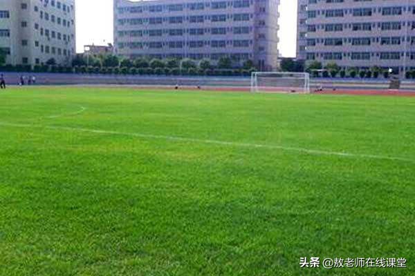 景观园林设计草坪作用,草坪景观设计原则