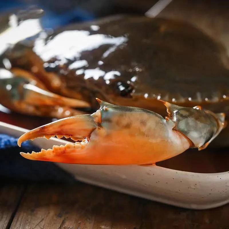 【田齐情怀】《咸螃蟹》