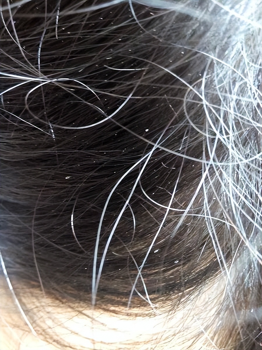 生存上亿年的生物,生存了几百年的动物