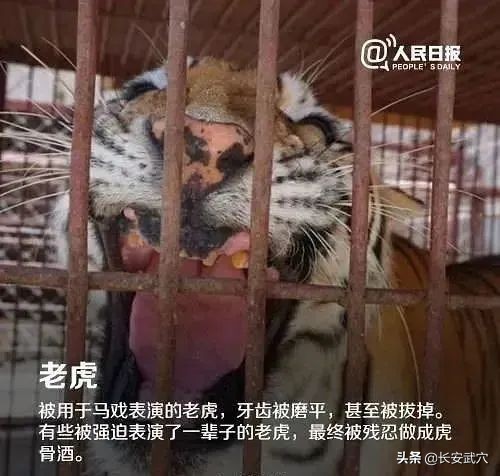 全网最近大事件,最大丑闻案件