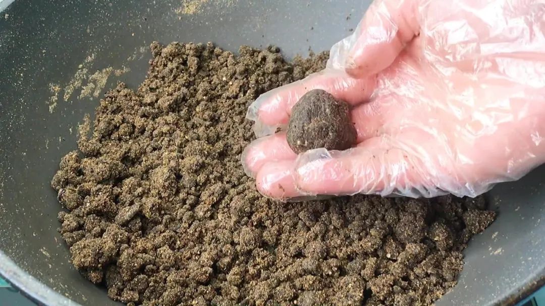 生蚝一天吃几个能补肾,生蚝一周吃几个合适补肾