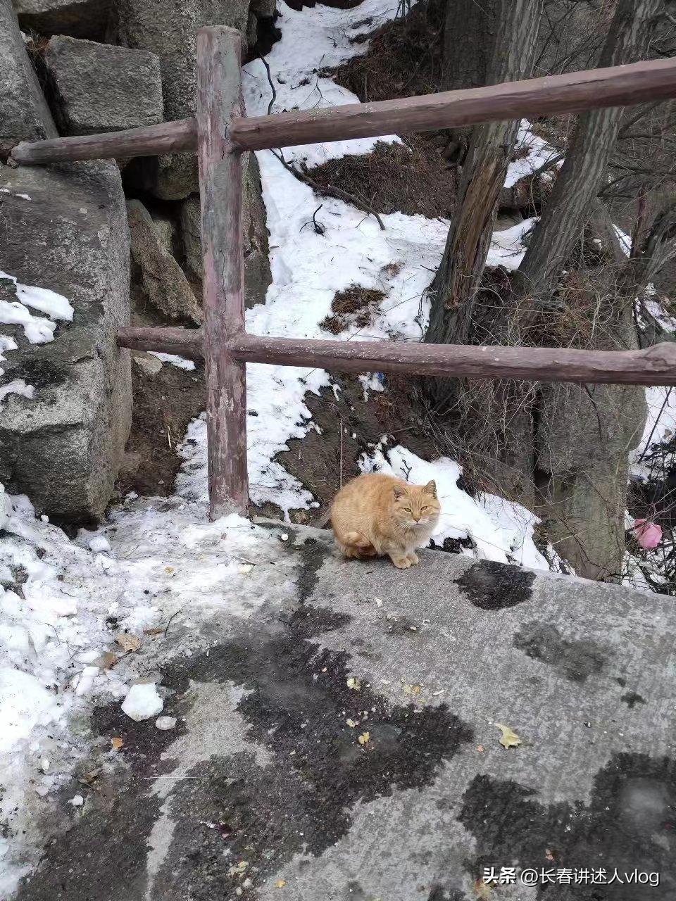 长春到西安穷游,长春出发西安旅游全攻略