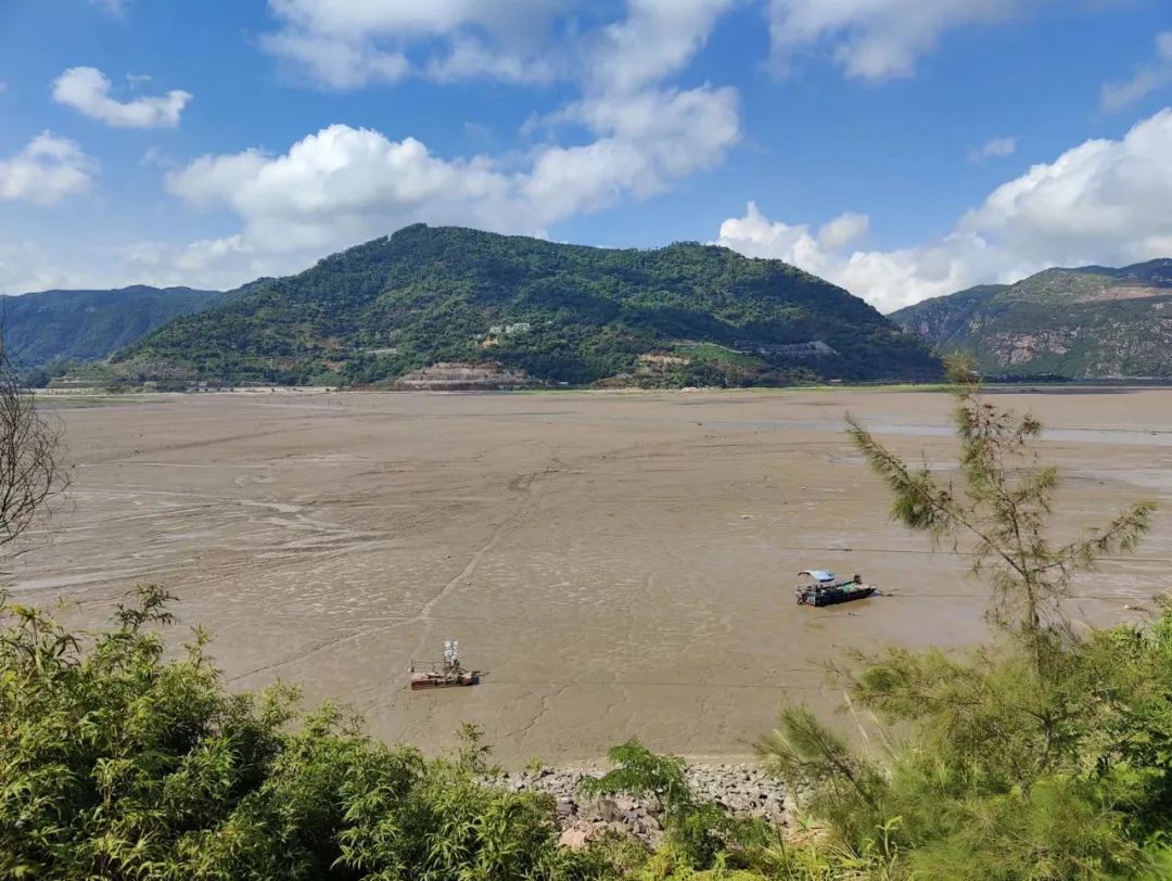 农民扮演农民？畲族模特每个动作定格3秒循环往复，150元可得乡村风赶鹅图