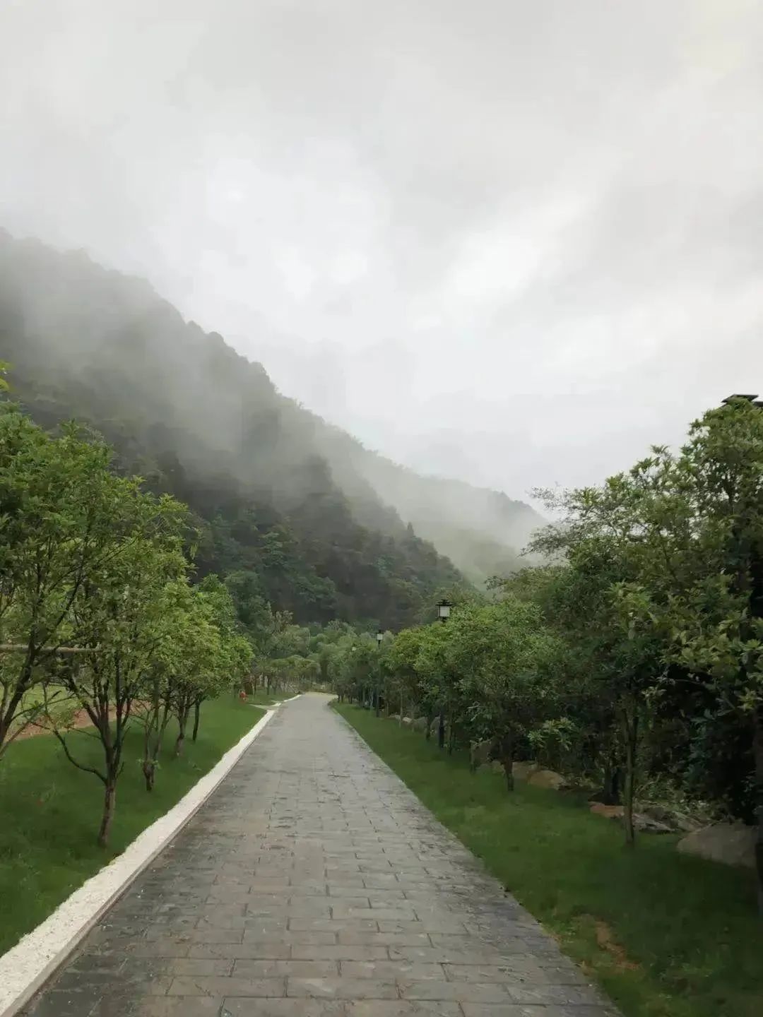 【上饶天下SHOW之广信区】中华蜜蜂谷:藏在五府山竹海密林中的蜜蜂“乐园”