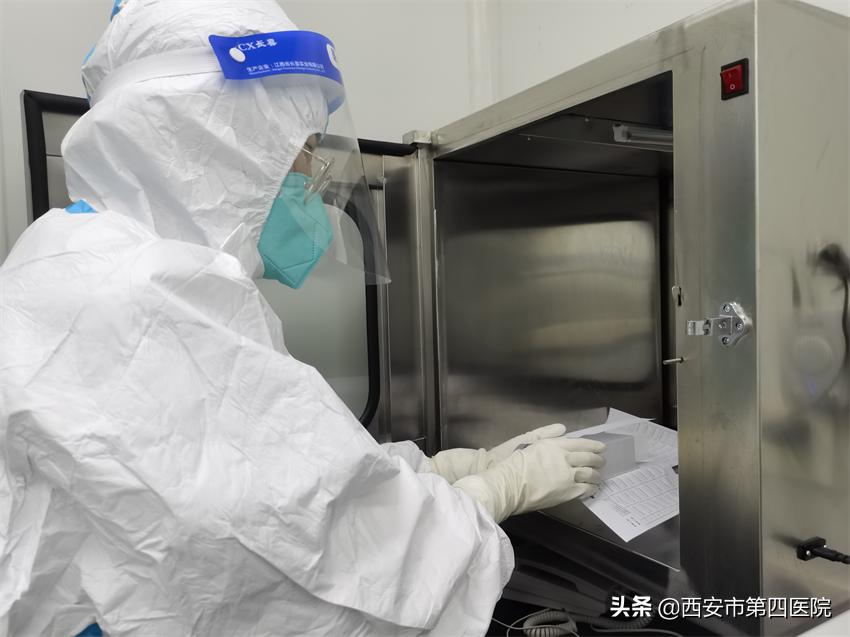 健康中国全民抗疫,秦岭四宝抗疫