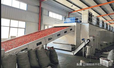 辣味醇厚的辣椒,四川风味麻辣特辣红油辣椒