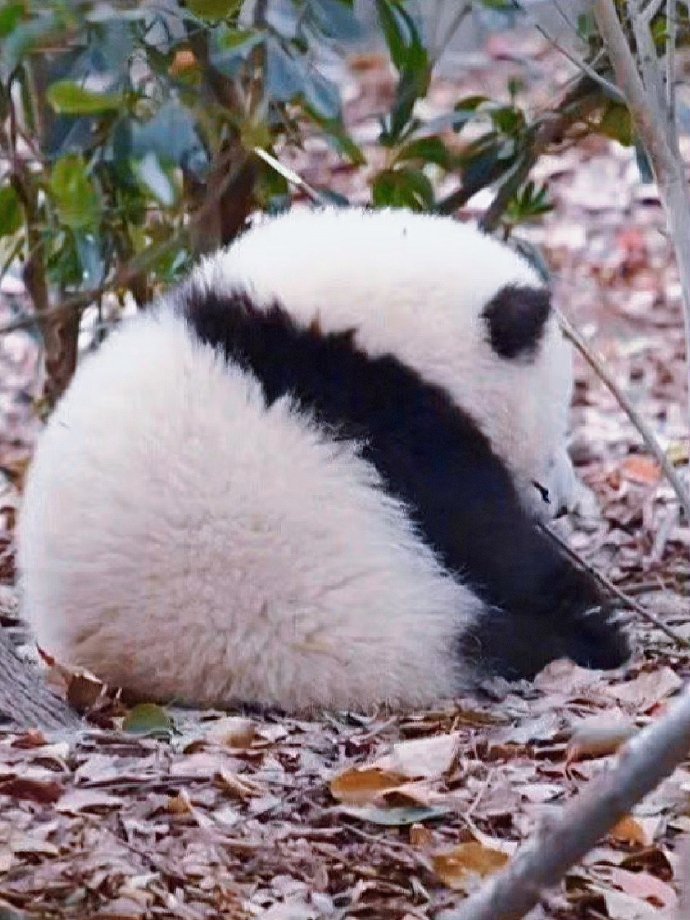 最值得去的城市排行,最值得去玩的五个城市