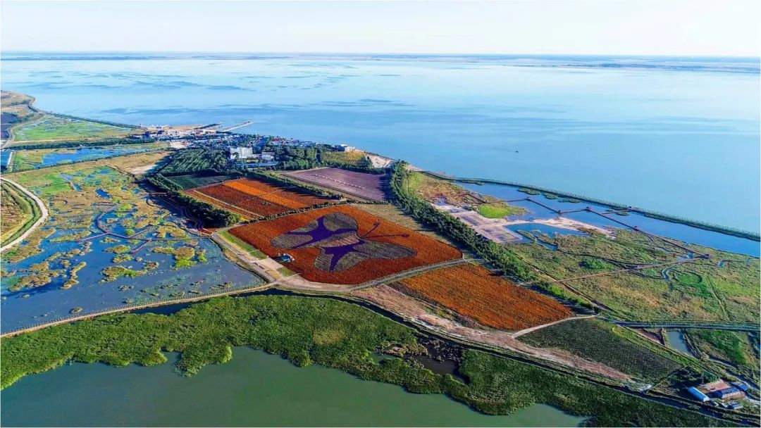 松原查干湖旅游三日,松原查干湖五一旅游团