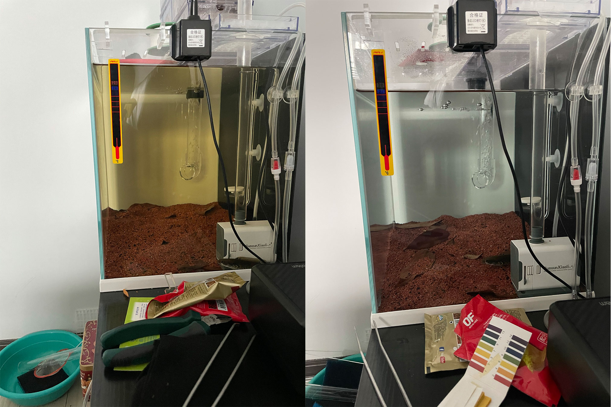 鱼缸下黄粉几天失效,鱼缸下完黄粉还算好水吗