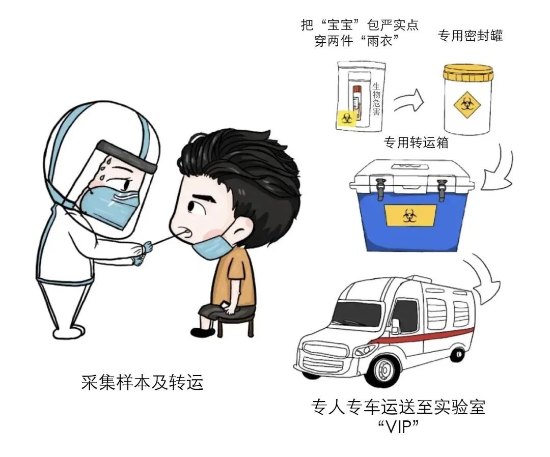 核酸检测报告新消息,核酸检测报告详解