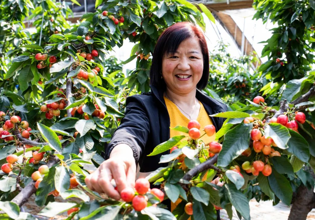 逛吃逛吃歌曲,逛吃逛吃大张伟