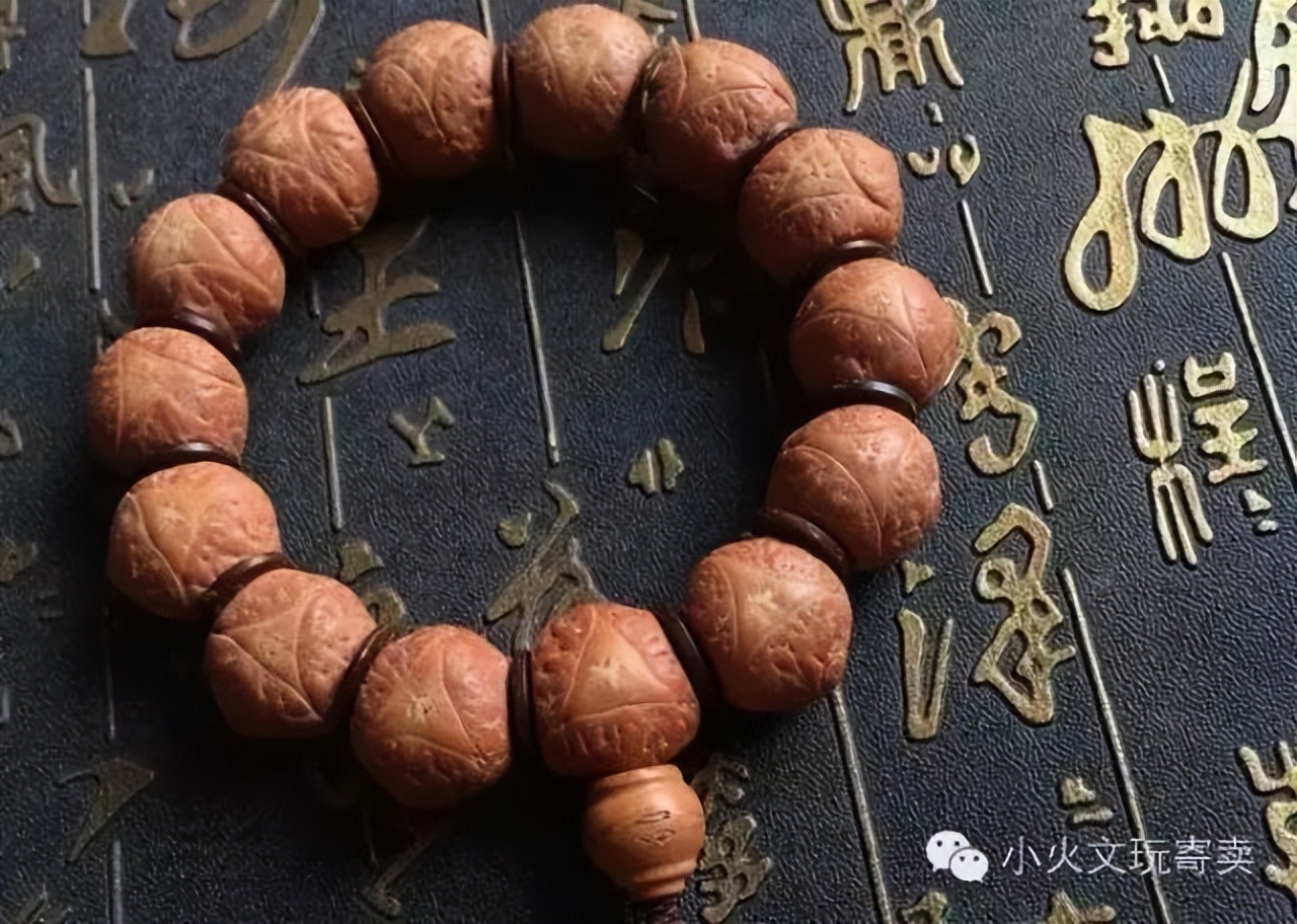 凤眼菩提20天效果,2023年凤眼菩提