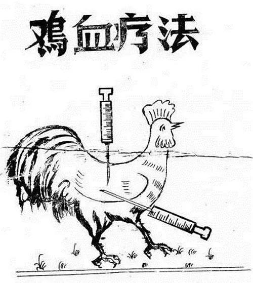 打鸡血的起源和作用,六十年代打鸡血治病
